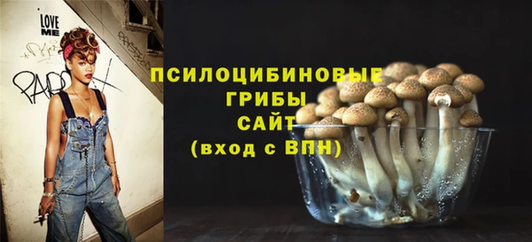 кокс Белокуриха