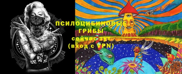 кокс Белокуриха