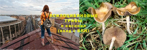 спиды Богородицк
